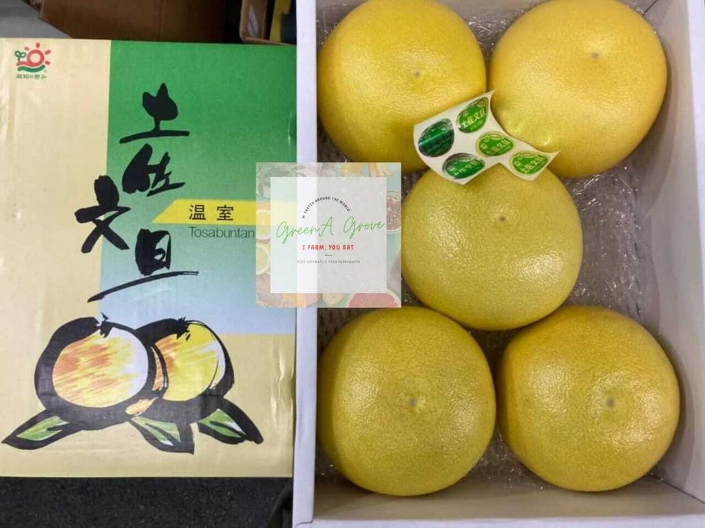 Japanese Kochi House Tosa Buntan Greenhouse Pomelo 日本特秀高知县水晶文旦 (Call for Price).jpeg