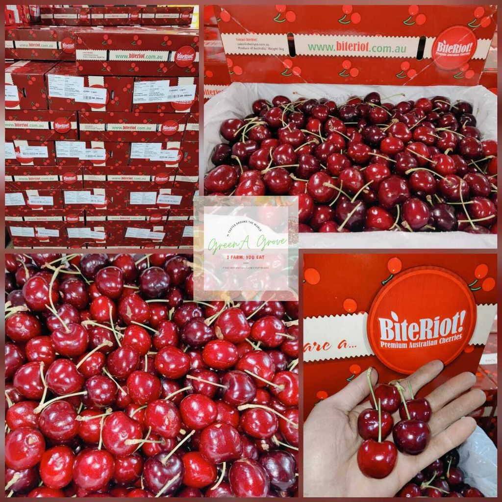 Air-Flown Australia BiteRiot! Premium Cherries (Lapin).jpeg