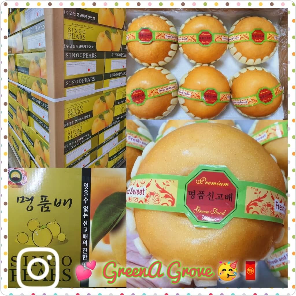 Korea Variety Premium Fresh Singo Pear.jpeg