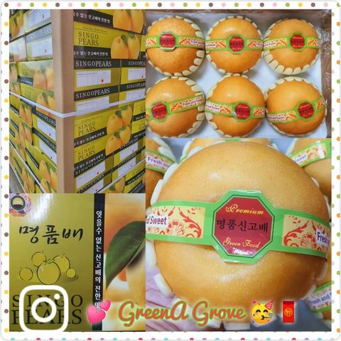 Korea Variety Premium Fresh Singo Pear.jpeg