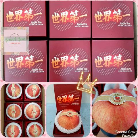 Japan Variety World One Premium Sekai-Ichi Red Apple [1].jpeg