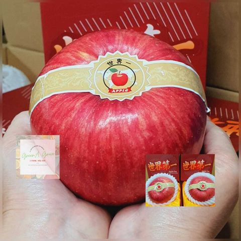 Japan Variety World One Premium Sekai-Ichi Red Apple [2].jpeg