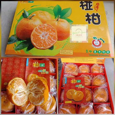 (Pre-Order) Taiwan Premium Original Ponkan 12s 台湾原装特秀椪柑 [1].jpeg