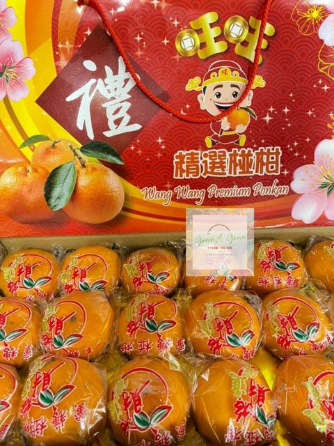 (Pre-Order) China Premium Honey Ponkan 18s 旺旺礼精选蜜糖椪柑.jpeg