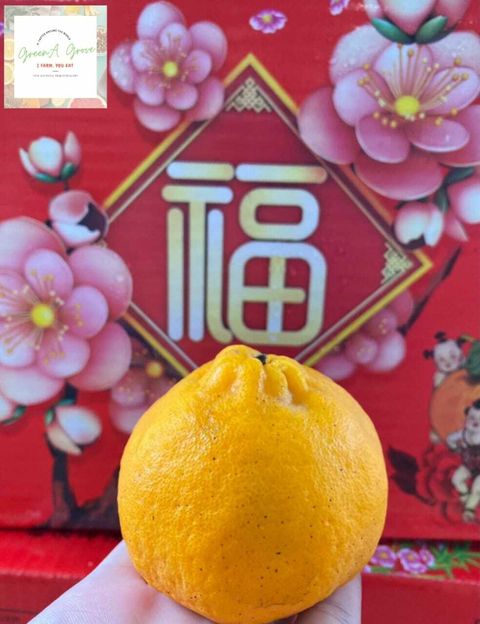 (Pre-Order) Yong Chun Premium Champion Honey Mandarins (Lokam) 永春“礼＆福” 冠军芦柑 24s [1].jpeg