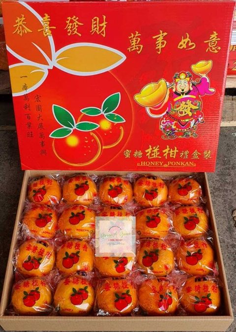(Pre-Order) China Premium Honey Ponkan 20s 小财神精选蜜糖椪柑礼盒装.jpeg