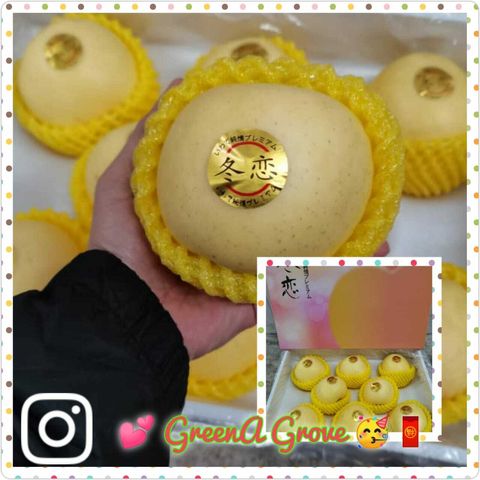 (Pre-Order) Yantai Premium Winter Love Golden Cream Fuji Apples "純情" プレミアム冬恋りんご黄金奶油富士苹果.jpeg
