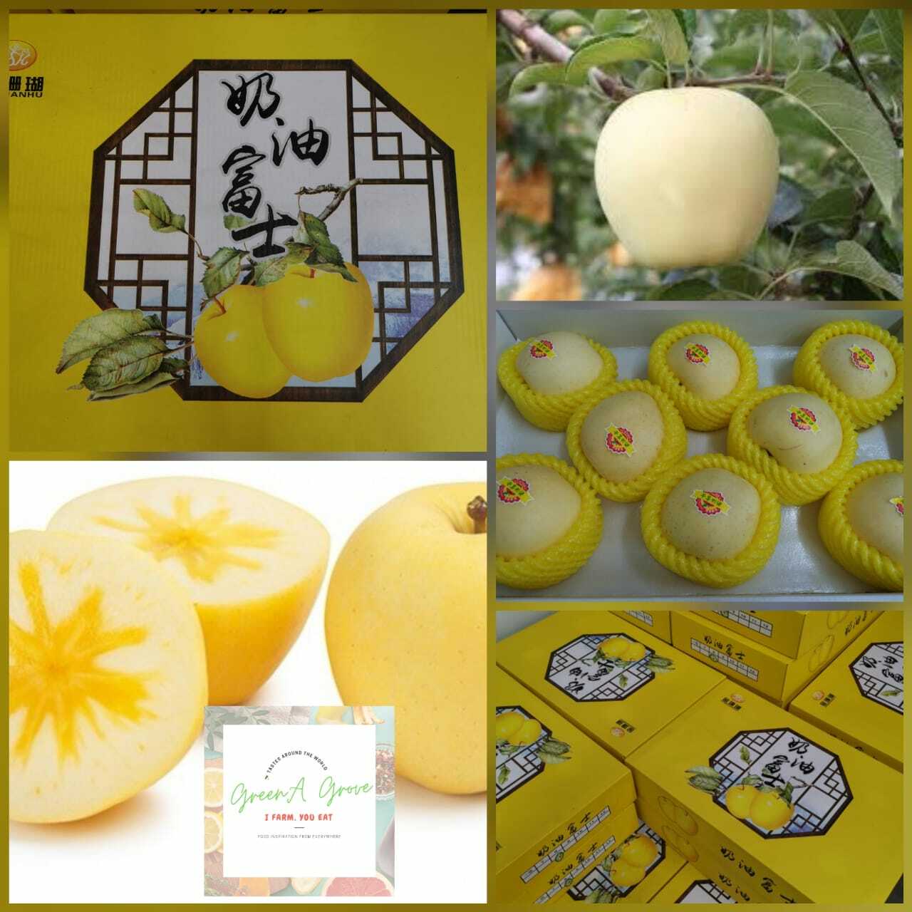 (Pre-Order) Yantai Premium Winter Love Golden Cream Fuji Apples "純情" プレミアム冬恋りんご黄金奶油富士苹果 [2].jpeg