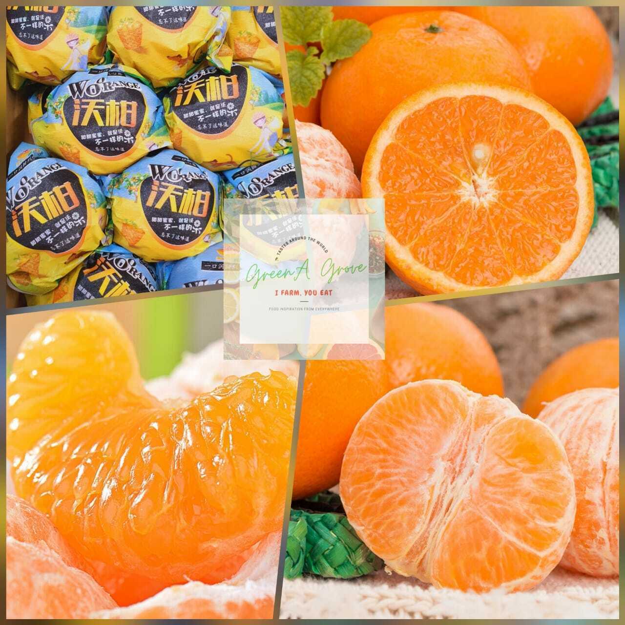 Pre-Order) Wu Ming Guang Xi Premium Fertile Oranges Orah