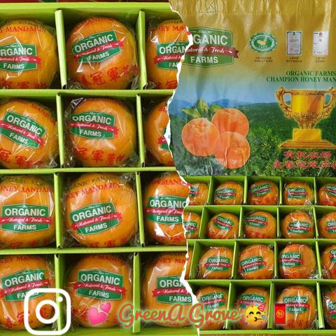 (Pre-Order) Yong Chun Premium Original Organic Farms Champion Honey Mandarins (Lokam) 有机农场永春“原装”冠军芦柑 20 Pcs with Gift Bag (Size- XXL:XL) [1].jpeg