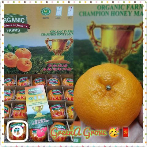 (Pre-Order) Yong Chun Premium Original Organic Farms Champion Honey Mandarins (Lokam) 有机农场永春“原装”冠军芦柑 20 Pcs with Gift Bag (Size- XXL:XL) [2].jpeg