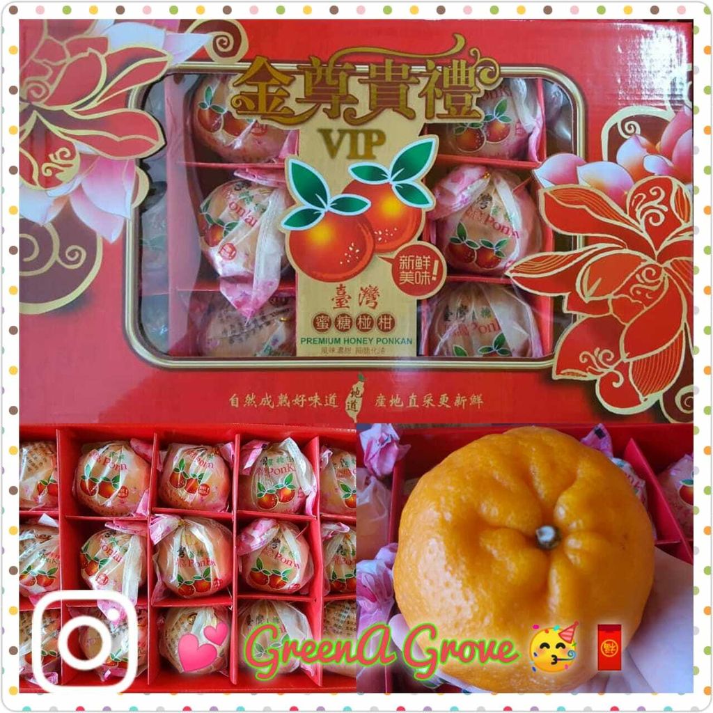 (Pre-Order) Taiwan Variety Premium VIP Naturally Ripe Honey Ponkan 台湾" 金尊贵礼VIP" 自然成熟蜜糖椪柑 15 Pcs in a Premium Gift Box (Size- 2XL).jpeg