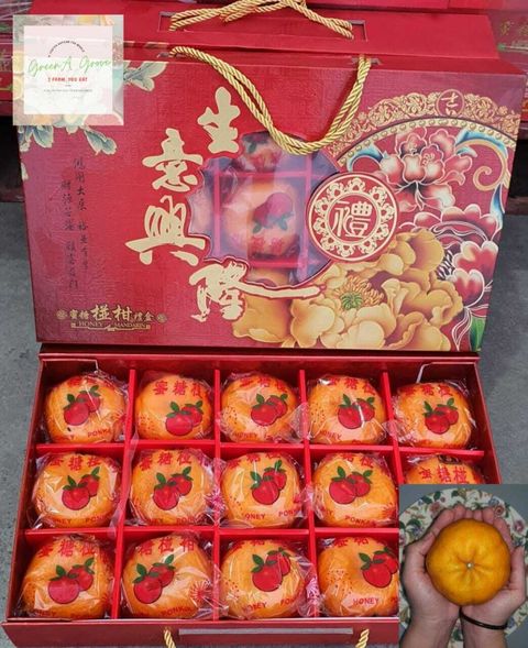 (Pre-Order) China Premium Honey Ponkan 生意兴隆特秀蜜糖椪柑礼盒 15 Jumbo Pcs in a Premium Gift Box (Size- 3XL:XXXL).jpeg
