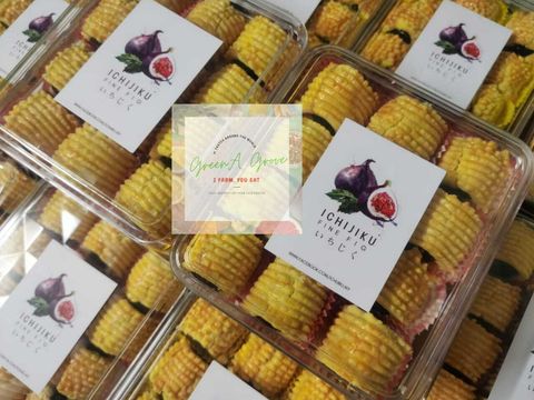 (Pre-Order) Traditional Handmade Natural Organically-Grown Japanese Red Figs Tarts いちじく 手工传统无花果酥 : 无花果挞 24 Pcs per Box.jpeg