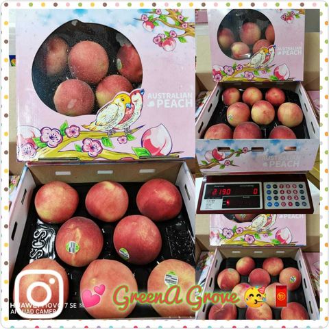 (Pre-Order) Australia Premium Fresh White Peaches 澳大利亚水蜜桃 8-11 Pcs (1.8-2KG).jpeg