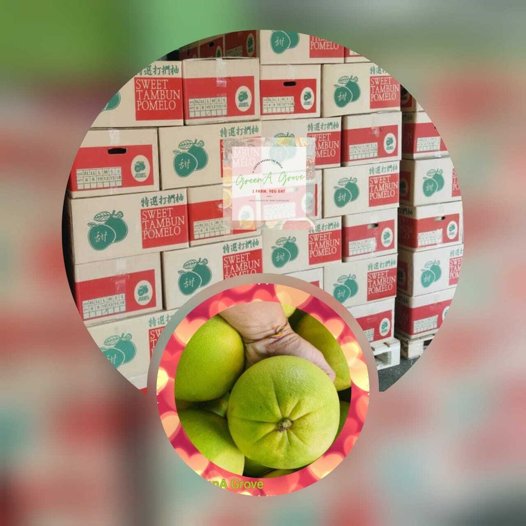 Ipoh Premium Tambun Pomelo.jpeg