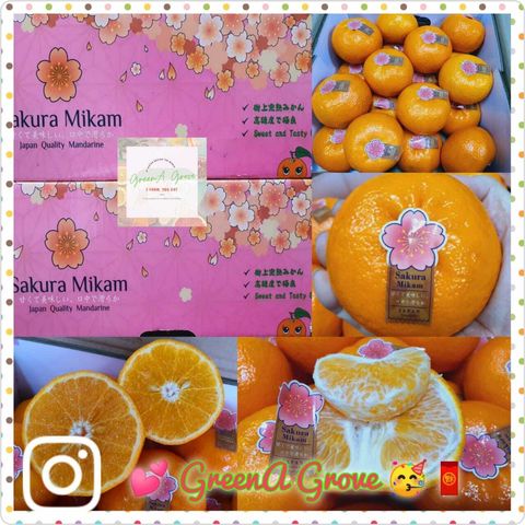 (Pre-Order) Japan Variety Premium Sakura Mikam Mandarins 日本品种特秀樱花蜜柑 12 Pcs in a Premium Gift Box (Size- 2XL).jpeg