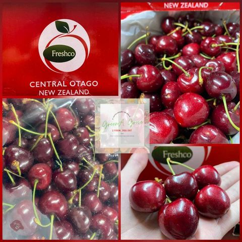 (Pre-Order) New Zealand Premium Red Sensation Cherries [2].jpeg