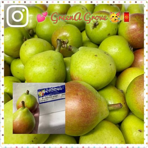 Australia Premium Paradise Pears 天堂梨.jpeg