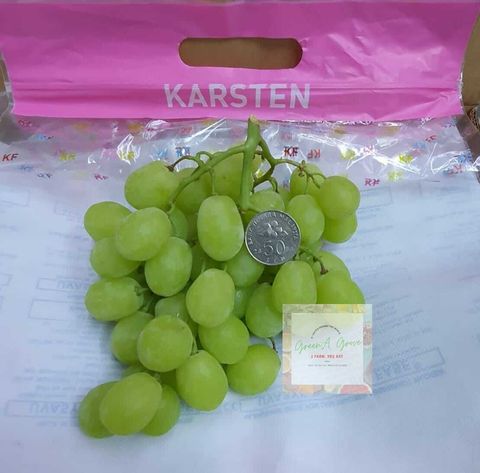 South Africa Premium White Seedless Grapes Prime.jpeg