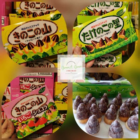 Japan Premium Kinoko no Yama Japanese Chocolate Candy Snacks.jpeg