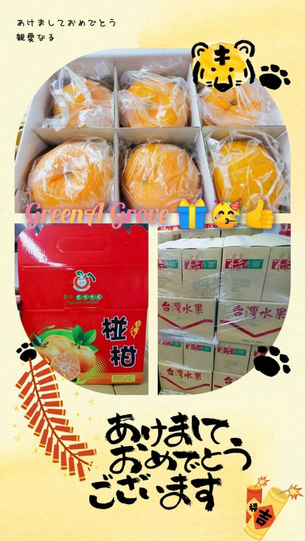 (Pre-Order) Taiwan Premium Original Ponkan 台湾原装特秀椪柑 12 Pcs in a Premium Gift Box (Size- L).jpeg