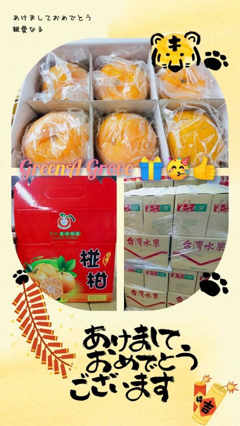 (Pre-Order) Taiwan Premium Original Ponkan 台湾原装特秀椪柑 12 Pcs in a Premium Gift Box (Size- L).jpeg