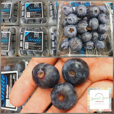 Air-Flown South Africa Finest Blueberries (Super Jumbo 25mm).jpeg