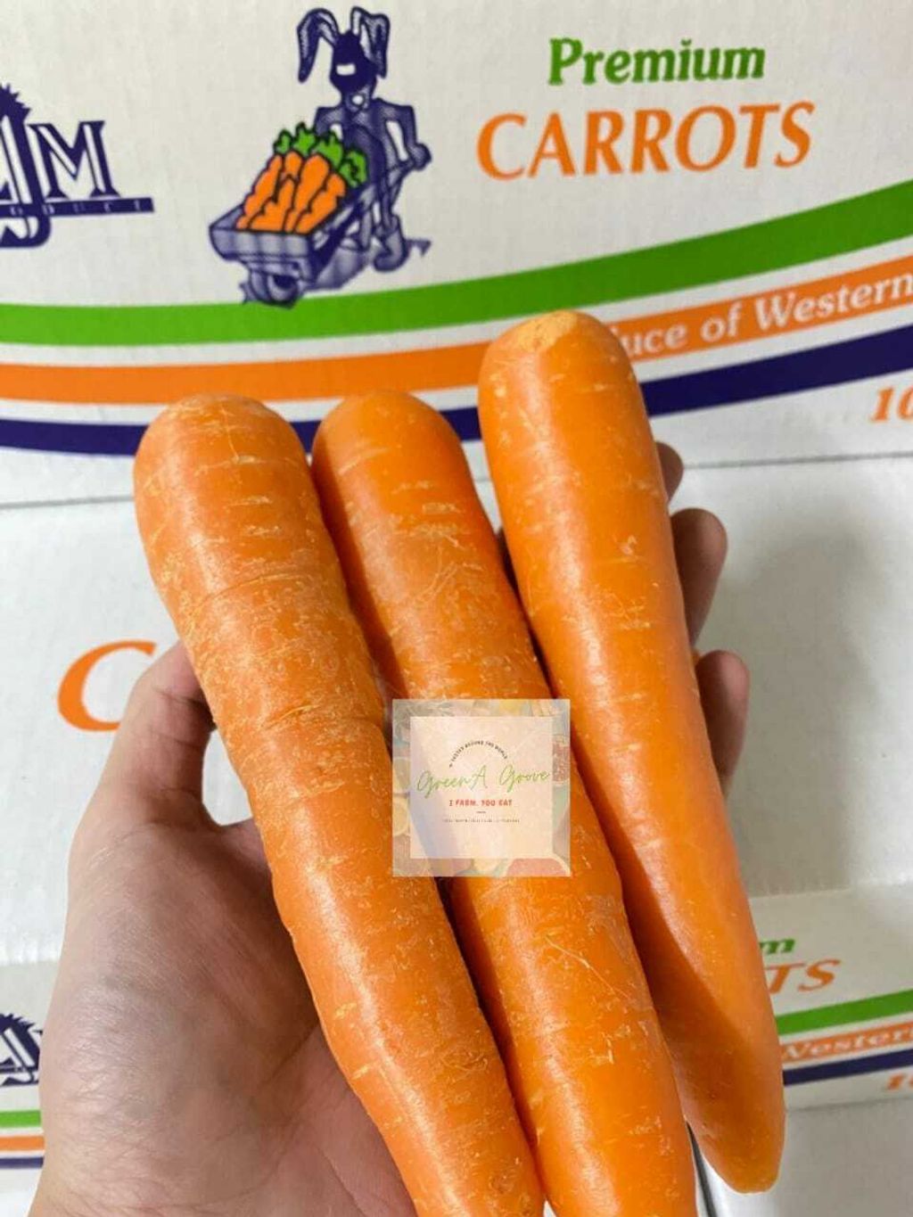 Australia Premium Fresh Carrots.jpeg