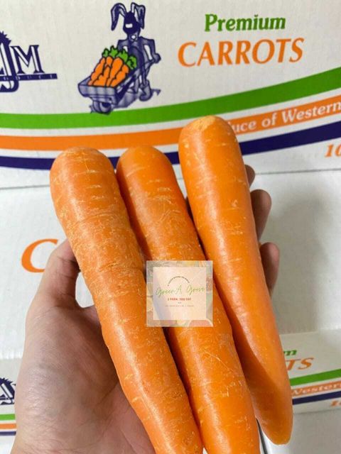 Australia Premium Fresh Carrots.jpeg