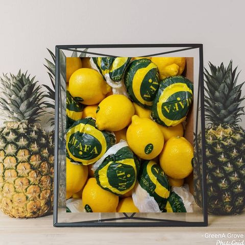 Egypt Premium Fresh Lemons.jpeg