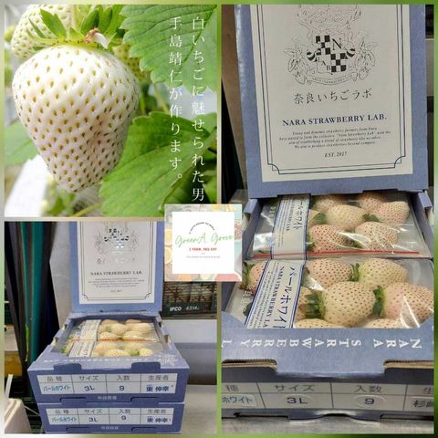 Japan Premium 100% Nara Pearl White Strawberries 日本奈良特秀100%纯白珍珠草莓.jpeg