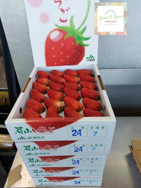 Japan Premium Mount Bizan, Tokushima-ken Momo Ichigo Strawberries 日本特秀徳島県眉山草莓.jpeg