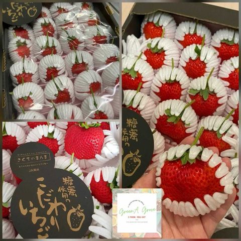 Japan Premium Kumamoto Kikuchi no Manma Hinoshizuku Strawberries 日本特秀熊本菊池草莓 .jpeg