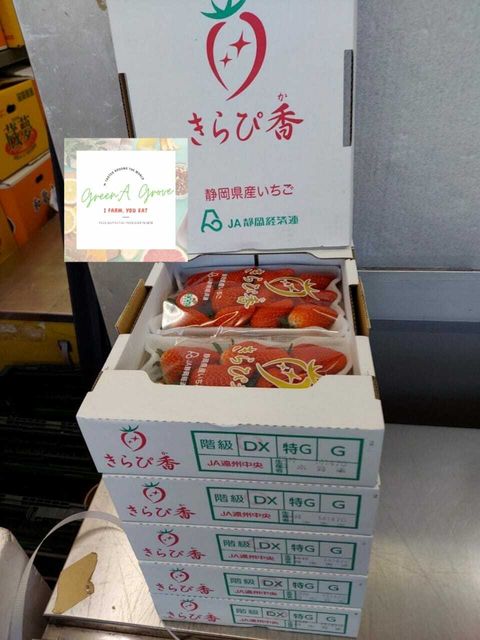 Japan Premium Shizuoka Kirapika Momo Ichigo Strawberries 日本特秀静岡草莓.jpeg