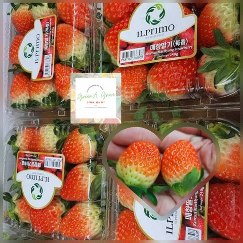 Korea Premium Fresh Maehyang Strawberries 韩国“每香”草莓.jpeg