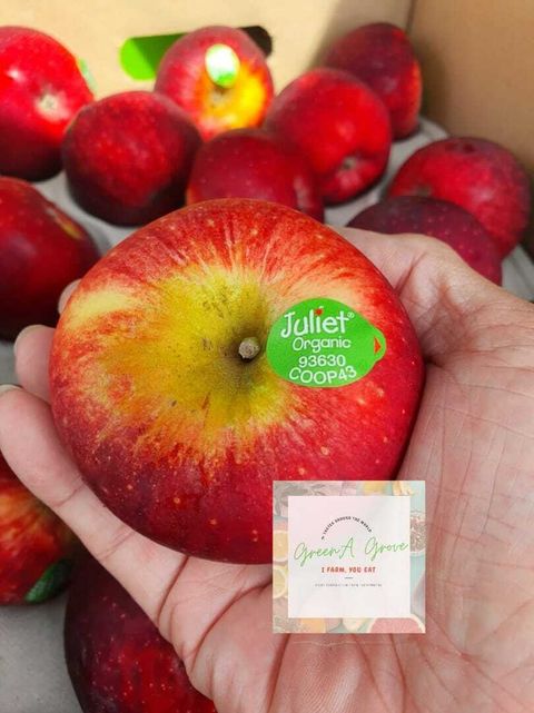 100% French-Grown Premium Juliet ® Organic Fresh Apples (Size- M).jpeg