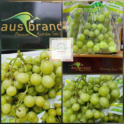 Australia Premium Sugar Crunch - Ivory Seedless Green Grapes.jpeg