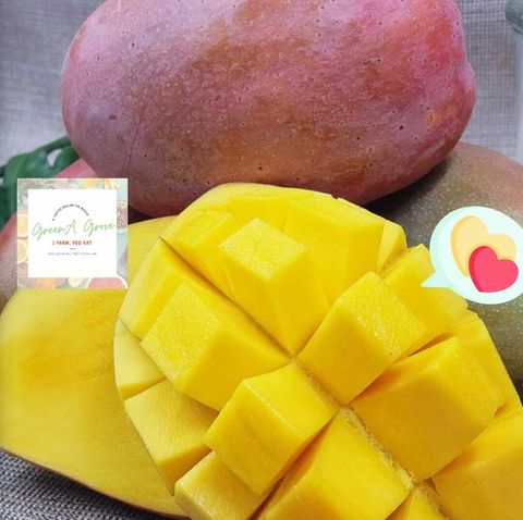 Thailand Premium Red Emperor Aiwen Mango 泰国红皮爱文芒果.jpeg