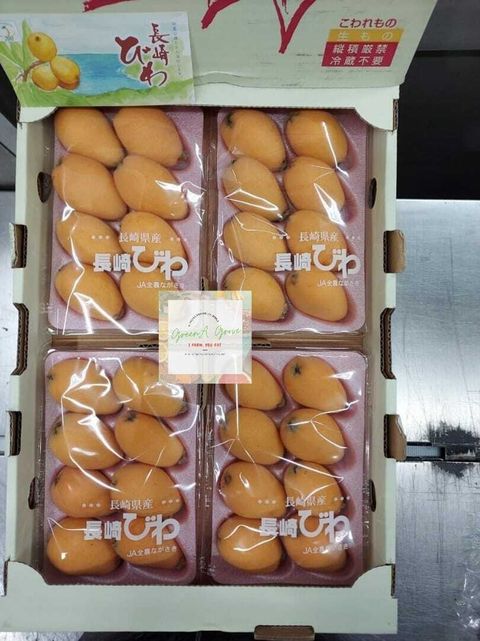 Japan Nagasaki Premium Loquats 日本長崎特级枇杷果.jpeg