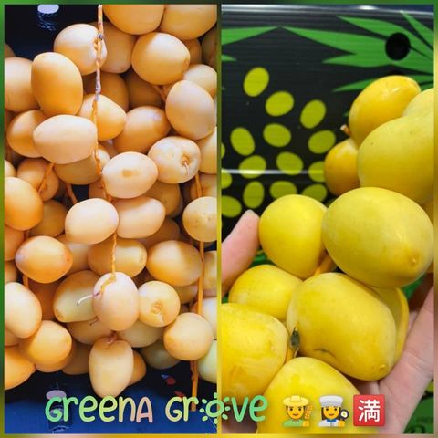 Peru Premium Fresh Barhi Dates.jpeg