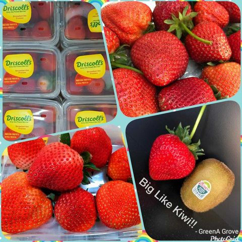 USA Premium Fresh Strawberries (Jumbo Mix).jpeg