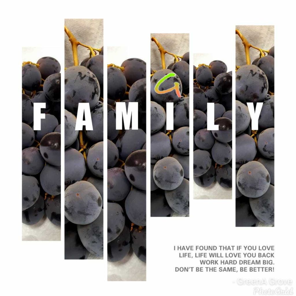 Australia Premium Black Seedless Grapes (Adora ®).jpeg