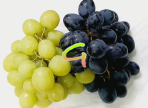 Air-Flown Australia Premium Green + Black Seedless Grapes (Autumn Crisp ® + Adora ®) (Size Jumbo + XL) [3].png