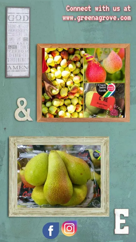 South Africa Premium Forelle Blush Pears (750gms per box).jpeg