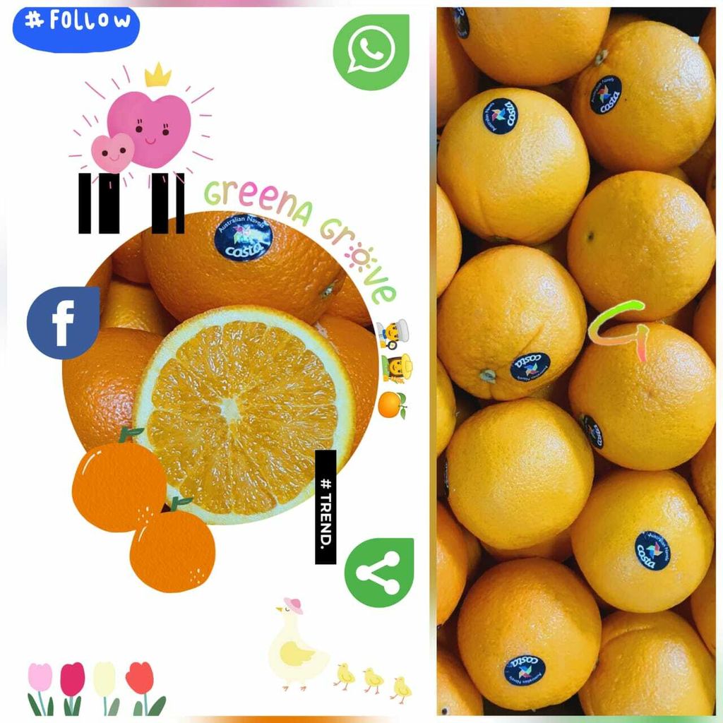 Australia Premium Costa Sweet Navel Oranges (Size XL).jpeg