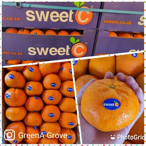 South Africa Premium Nadorcott Sweet Mandarins (Size 3XL).jpeg