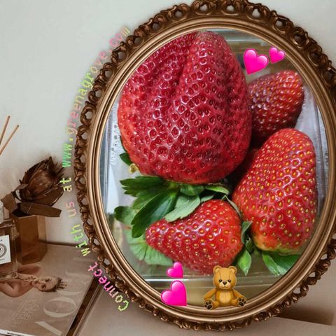 Australia Premium Fresh Strawberries (Size Jumbo Mix).jpeg