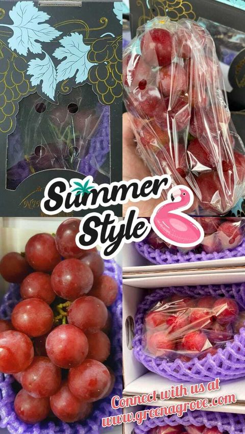 Japan Variety Premium Queen Nina 妮娜皇后 Grapes.jpeg
