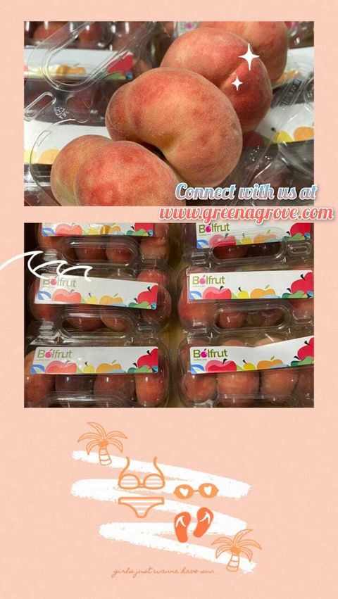 Turkey Premium Donut Peaches (UFO-4) (Size AA Jumbo).jpeg